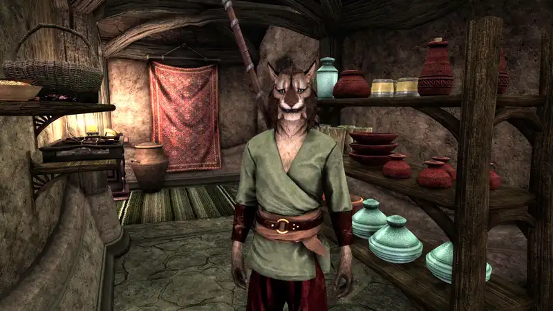 Skywind, an ambitious mod that remakes Morrowind with skyrim, has over 3,000 characters — three times the number of the original Skyrim