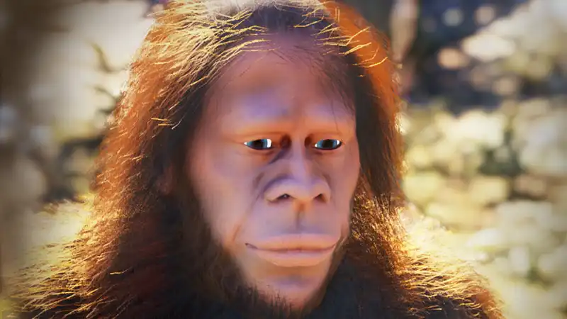 The creators of this Bigfoot game are considering changing the Bigfoot's face in response to comments that it looks too human.